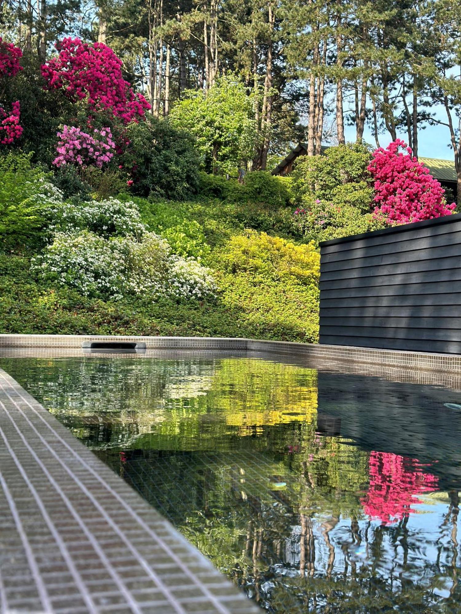 Les Pins De Cesar - La Campagne D'Etretat Saint-Jouin-Bruneval Exterior foto